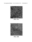 Intra-Culture Perfusion Methods and Applications Thereof diagram and image