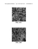 Intra-Culture Perfusion Methods and Applications Thereof diagram and image