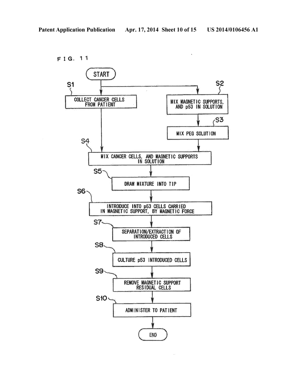 APPARATUS FOR INTRODUCING BIOLOGICAL MATERIAL, METHOD OF INTRODUCING     BIOLOGICAL MATERIAL AND MAGNETIC SUPPORT FOR INTRODUCING BIOLOGICAL     MATERIAL - diagram, schematic, and image 11