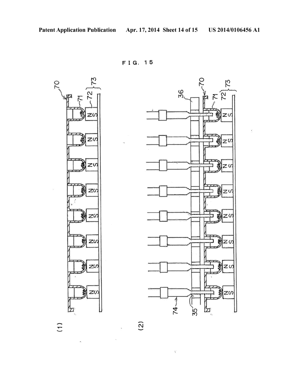 APPARATUS FOR INTRODUCING BIOLOGICAL MATERIAL, METHOD OF INTRODUCING     BIOLOGICAL MATERIAL AND MAGNETIC SUPPORT FOR INTRODUCING BIOLOGICAL     MATERIAL - diagram, schematic, and image 15