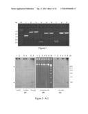 Conjugative Plasmids and Methods of Use Thereof diagram and image