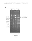 Conjugative Plasmids and Methods of Use Thereof diagram and image