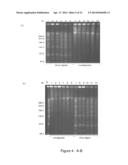 Conjugative Plasmids and Methods of Use Thereof diagram and image