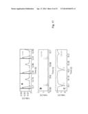 COMPACT ANALYZER FOR ACQUIRING CHARACTERISTICS OF SMALL TABS PLACED IN A     VESSEL diagram and image