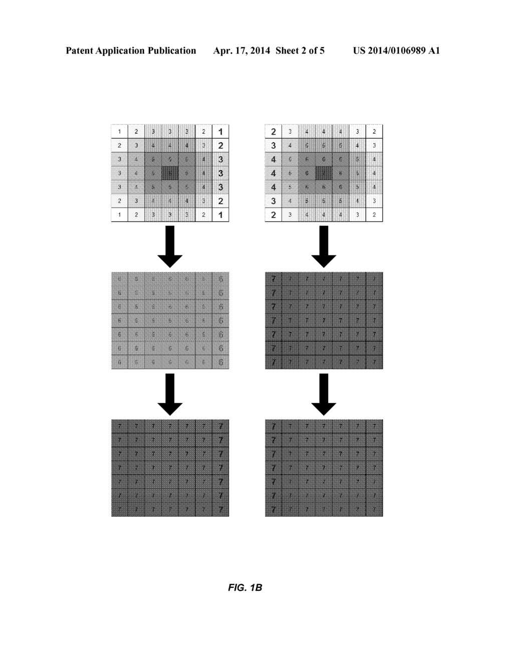 IMAGE CAPTURE FOR LARGE ANALYTE ARRAYS - diagram, schematic, and image 03