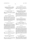 BCL-2-SELECTIVE APOPTOSIS-INDUCING AGENTS FOR THE TREATMENT OF CANCER AND     IMMUNE DISEASES diagram and image