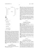 PHOTORESPONSIVE NUCLEIC ACID MANUFACTURING METHOD diagram and image