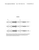 MODIFYING THE FATTY ACID PROFILE OF CAMELINA SATIVA OIL diagram and image