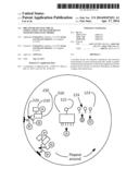 DBS and heart electrical stimulation and measurements with multiple     electrodes diagram and image