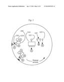 DBS and heart electrical stimulation and measurements with multiple     electrodes diagram and image