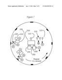 DBS and heart electrical stimulation and measurements with multiple     electrodes diagram and image