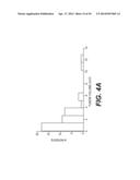 Dynamic MR Imaging of Patients with Breast Cancer -- Establishment and     Comparison of Different Analytical Methods for Tissue Perfusion and     Capillary Permeability diagram and image