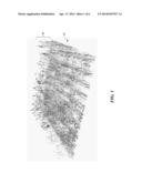 SYSTEM FOR DETECTING PLANTED TREES WITH LIDAR DATA diagram and image