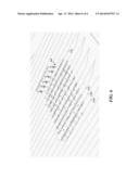 SYSTEM FOR DETECTING PLANTED TREES WITH LIDAR DATA diagram and image