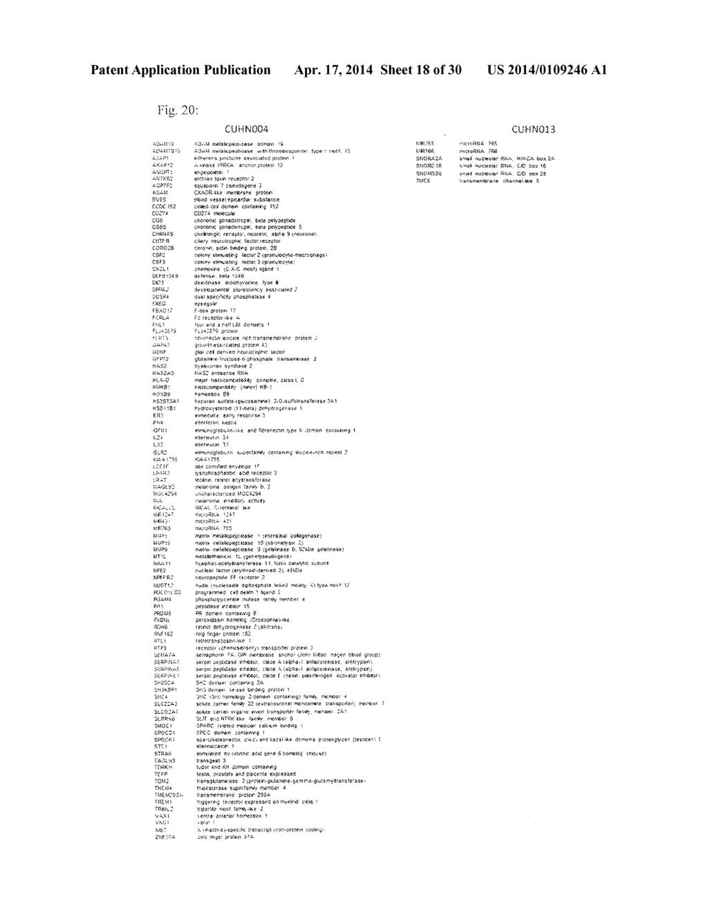 METHODS OF GENERATING XENOCHIMAERIC MICE WITH TUMOR AND HEMATOPOIETIC     SYSTEM FROM THE SAME HETEROLOGOUS SPECIES - diagram, schematic, and image 19