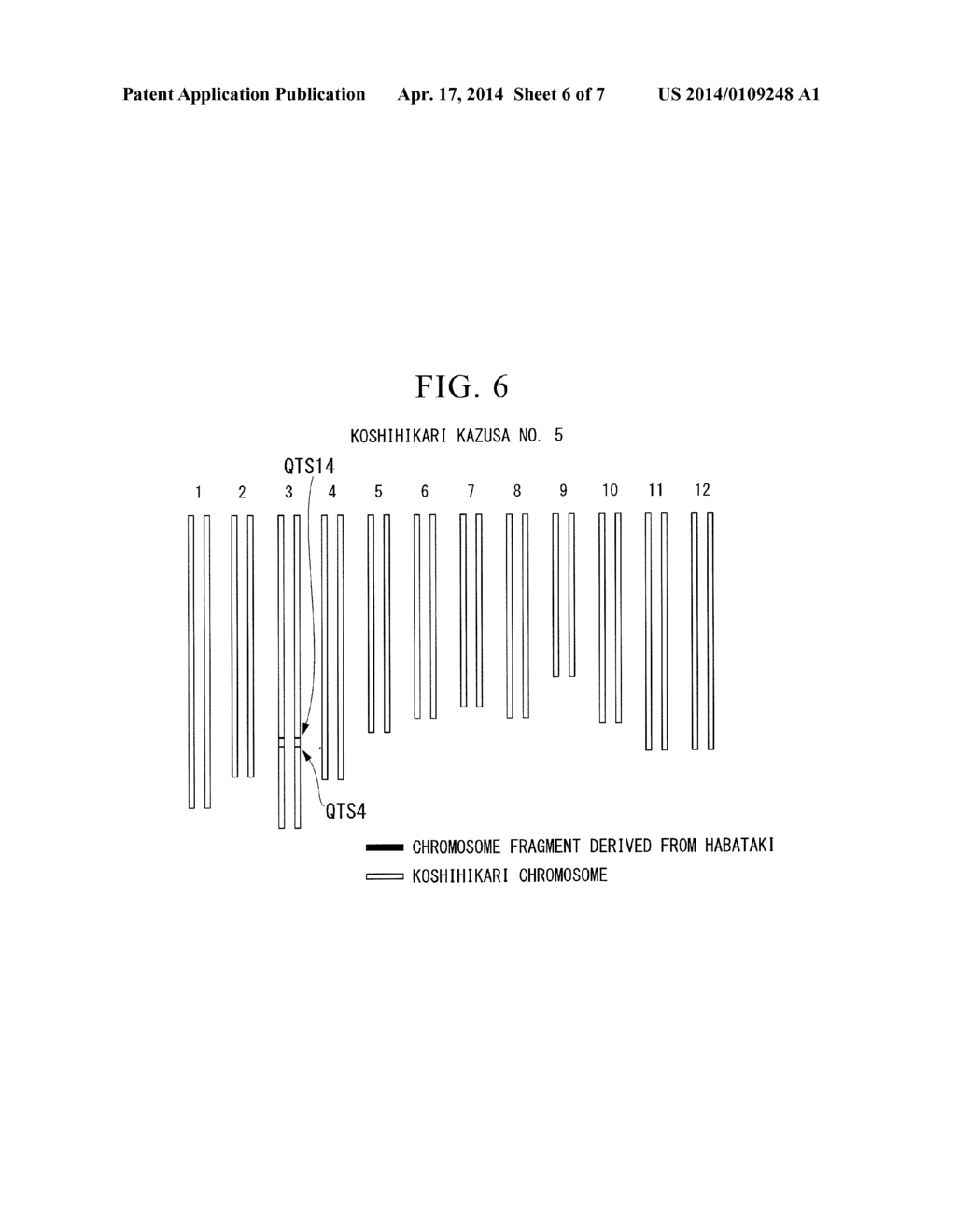 NEW CULTIVAR, METHOD FOR DIFFERENTIATING PLANT CULTIVARS, AND METHOD FOR     CAUSING EARLIER MATURING OF RICE INDIVIDUAL - diagram, schematic, and image 07