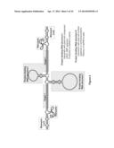 RNA CONSTRUCTS diagram and image