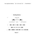 RNA CONSTRUCTS diagram and image