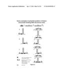 RNA CONSTRUCTS diagram and image