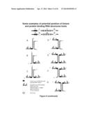 RNA CONSTRUCTS diagram and image