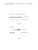 RNA CONSTRUCTS diagram and image