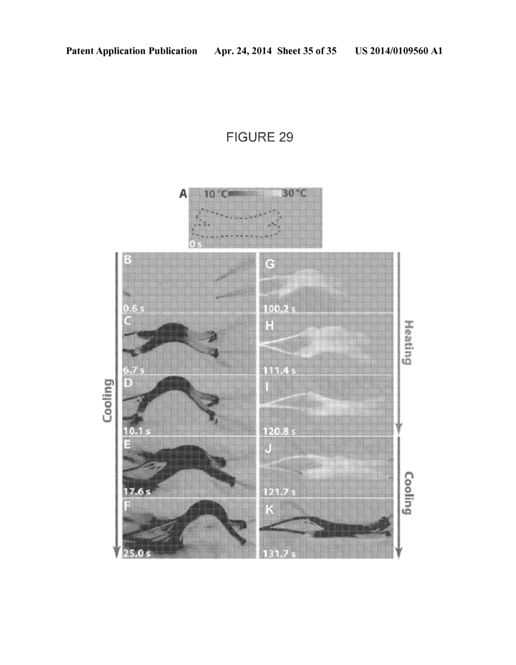 SOFT ROBOTIC ACTUATORS - diagram, schematic, and image 36