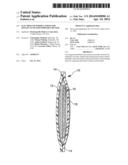 Electrolyte Formulations For Oxygen Activated Portable Heater diagram and image