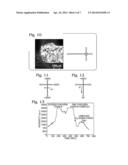 Integrated Affinity Microcolumns and Affinity Capillary Electrophoresis diagram and image