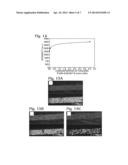 Integrated Affinity Microcolumns and Affinity Capillary Electrophoresis diagram and image