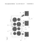 DETERMINING RELATIVE TIMING OFFSET IN DIFFERENT ELECTRONIC PATHWAYS USING     INTERNAL SIGNALS diagram and image