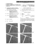 ALIGNMENT OF CARBON NANOTUBES COMPRISING MAGNETICALLY SENSITIVE METAL     OXIDES IN NANOFLUIDS diagram and image