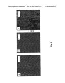 ALIGNMENT OF CARBON NANOTUBES COMPRISING MAGNETICALLY SENSITIVE METAL     OXIDES IN NANOFLUIDS diagram and image