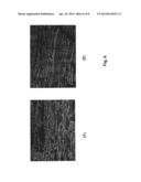 ALIGNMENT OF CARBON NANOTUBES COMPRISING MAGNETICALLY SENSITIVE METAL     OXIDES IN NANOFLUIDS diagram and image