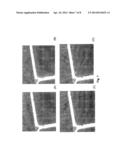 ALIGNMENT OF CARBON NANOTUBES COMPRISING MAGNETICALLY SENSITIVE METAL     OXIDES IN NANOFLUIDS diagram and image