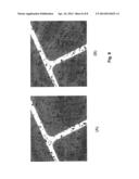 ALIGNMENT OF CARBON NANOTUBES COMPRISING MAGNETICALLY SENSITIVE METAL     OXIDES IN NANOFLUIDS diagram and image