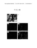 METHOD OF PRODUCING SULFIDE COMPOUND SEMICONDUCTOR BY USE OF SOLVOTHERMAL     METHOD AND ROD-LIKE CRYSTAL OF SULFIDE COMPOUND SEMICONDUCTOR diagram and image