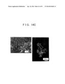 METHOD OF PRODUCING SULFIDE COMPOUND SEMICONDUCTOR BY USE OF SOLVOTHERMAL     METHOD AND ROD-LIKE CRYSTAL OF SULFIDE COMPOUND SEMICONDUCTOR diagram and image