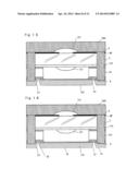 CAMERA MODULE diagram and image