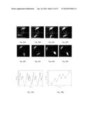 FLAG INSTABILITY FOR DIRECT MECHANICAL POWER GENERATION diagram and image