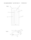 Probe diagram and image