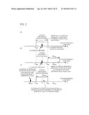 RADAR APPARATUS diagram and image