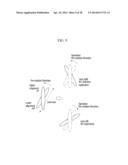 IMAGE DISPLAY AND LIQUID CRYSTAL LENS THEREFOR diagram and image