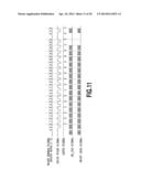 PRINTING APPARATUS AND METHOD FOR CORRECTING PRINT POSITION DISPLACEMENT diagram and image