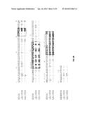 Anti-CD19 Antibodies diagram and image