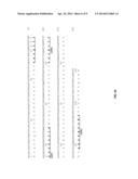 Anti-CD19 Antibodies diagram and image