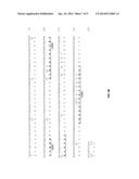 Anti-CD19 Antibodies diagram and image