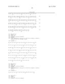 Anti-CD19 Antibodies diagram and image