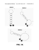 NUCLEIC ACID PROBES AND METHODS OF USING THE SAME diagram and image