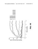 NUCLEIC ACID PROBES AND METHODS OF USING THE SAME diagram and image