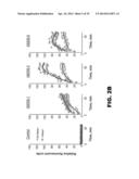 NUCLEIC ACID PROBES AND METHODS OF USING THE SAME diagram and image